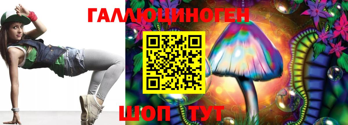 Псилоцибиновые грибы Psilocybe Бутурлиновка
